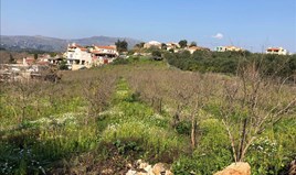 Land 1000 m² in Crete