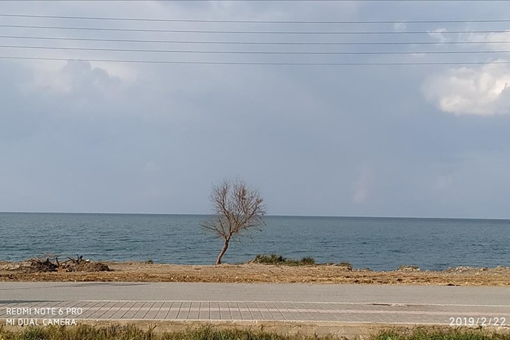 Realty photo 1