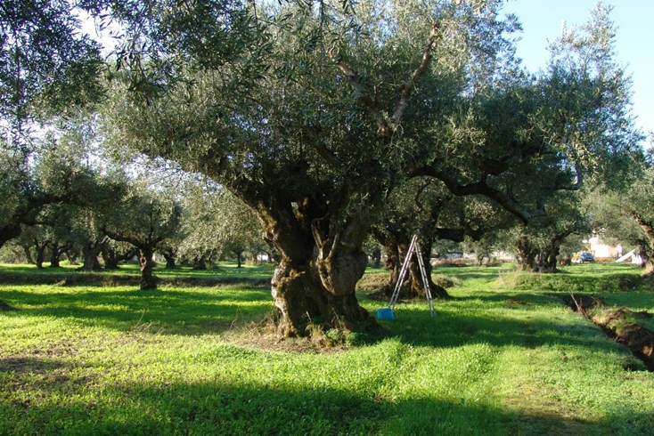 Realty photo 2
