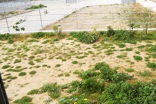 Property 361 photo 17