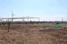 Property 36144 photo 6