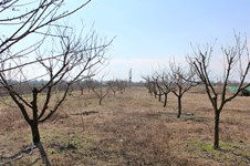 Property 36144 photo 1