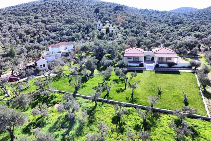 Realty photo 2