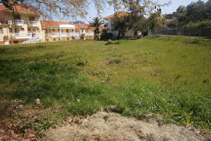 Realty photo 1