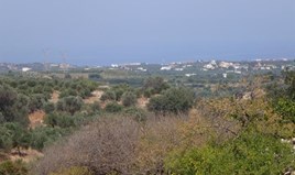 Land 6700 m² auf Kreta