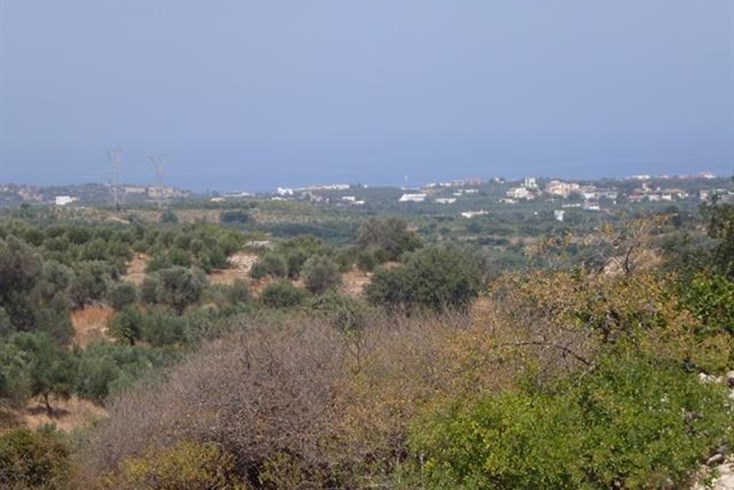 Realty photo 1
