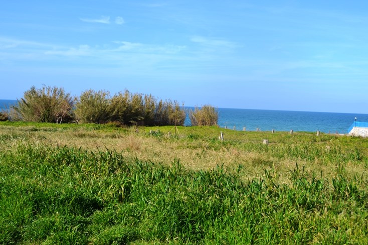 Realty photo 2