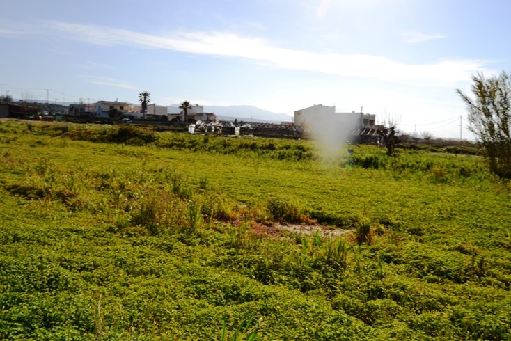 Realty photo 3