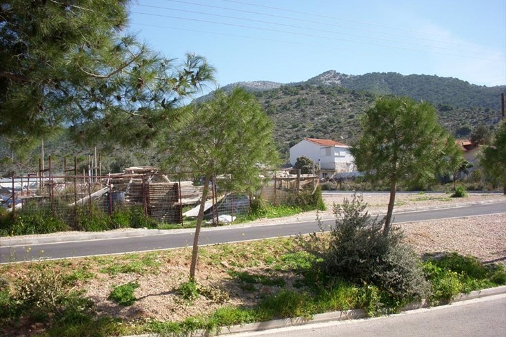 Realty photo 3