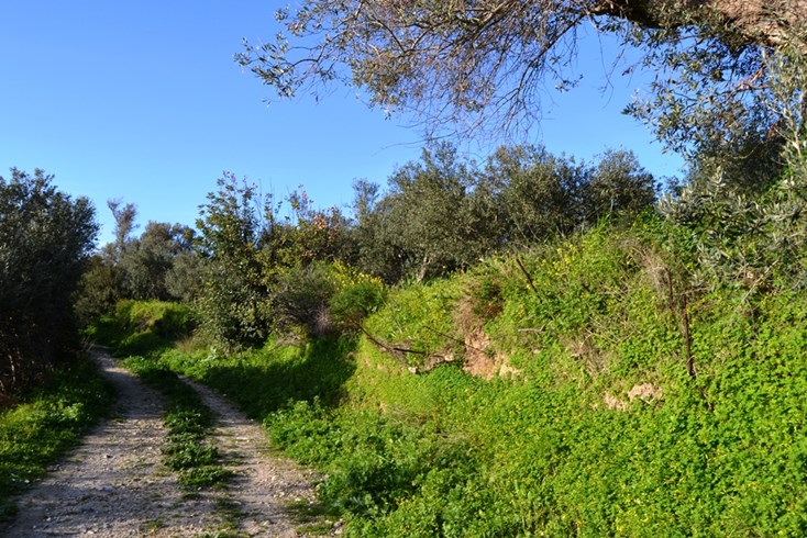 Realty photo 2