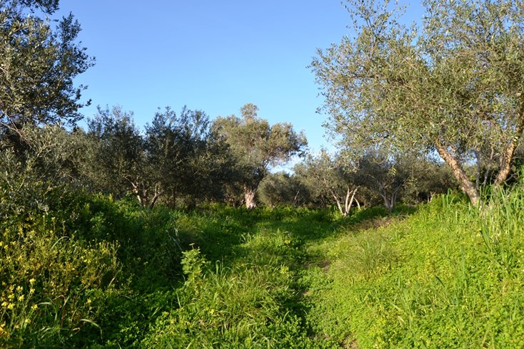 Realty photo 3