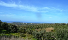 Land 5500 m² in Crete
