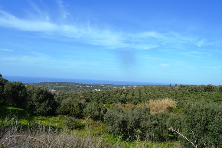 Realty photo 1