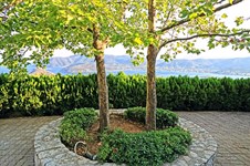 Property 36332 photo 30