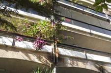 Property 364 photo 1
