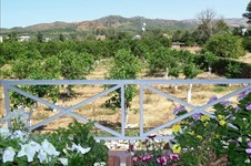 Property 36428 photo 33
