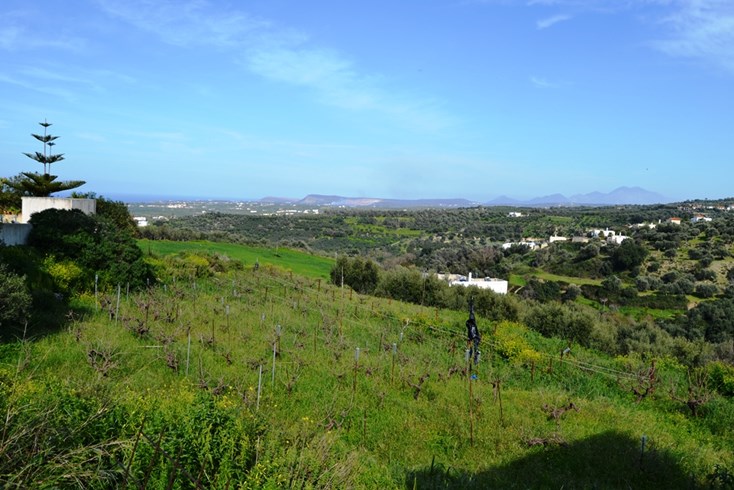 Realty photo 3