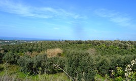 հողատարածք 5500 m² Կրետե կղզում