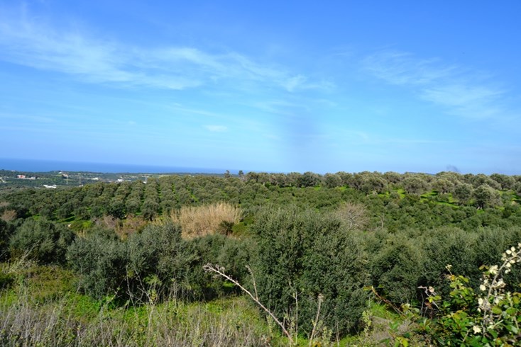 Realty photo 1