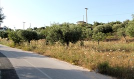 Zemljište 8000 m² na Sitoniji (Halkidiki)