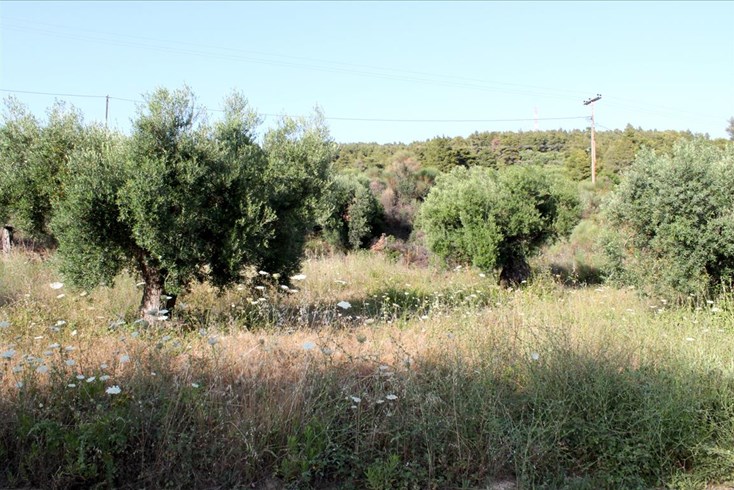 Realty photo 2