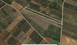 Земельна ділянка 10000 m² в Халкидіках