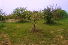 Property 3650 photo 6