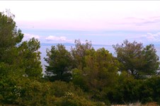 Property 3650 photo 3