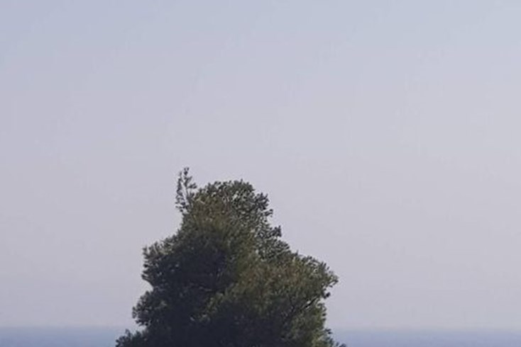Realty photo 3