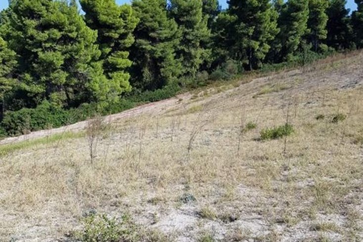 Realty photo 1