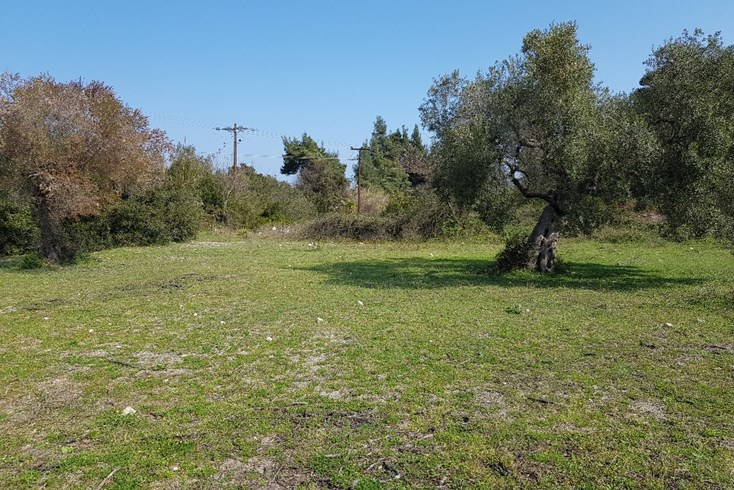 Realty photo 1