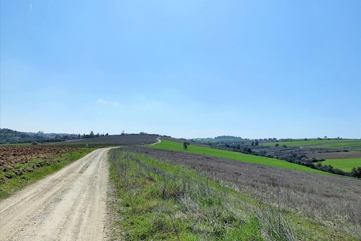 Realty photo 2