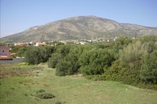 Property 36612 photo 13