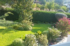Property 36666 photo 6