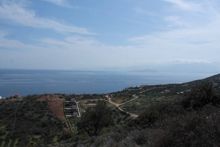 Realty photo 2