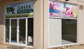 Business 43 m² in Sithonia, Chalkidiki