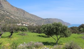 Парцел 5889 m² на Крит