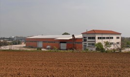 Poslovni prostor 1800 m² na Olimpska regija