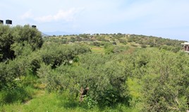 Land 539 m² auf Kreta