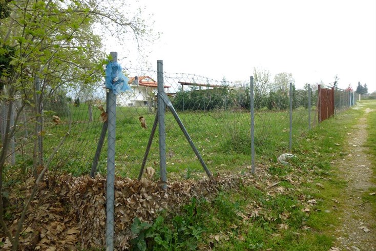Realty photo 2