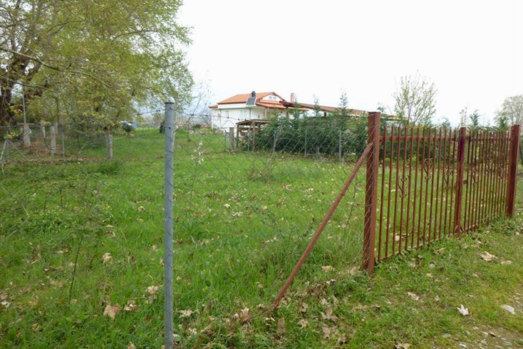 Realty photo 1
