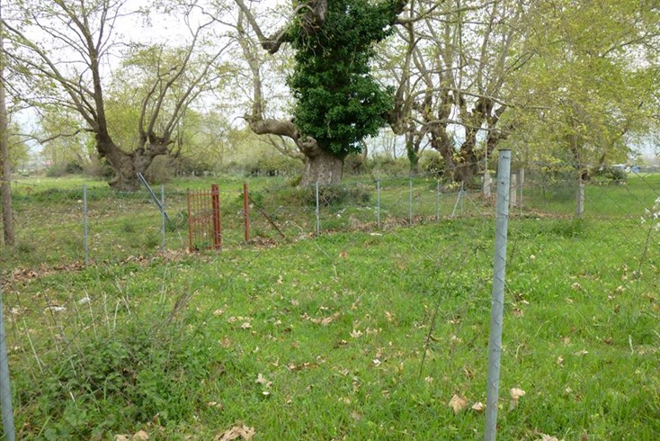 Realty photo 3