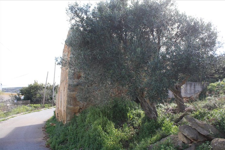 Realty photo 1