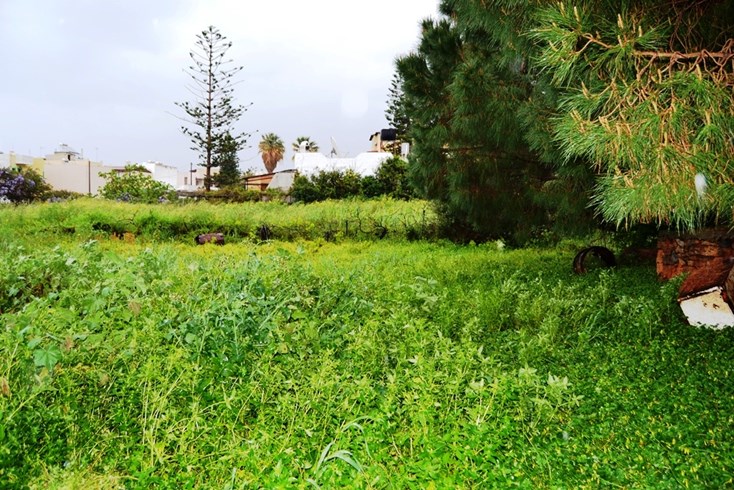 Realty photo 3