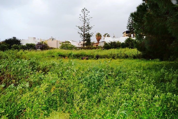 Realty photo 1
