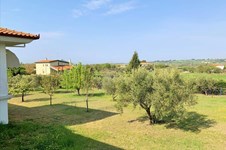 Property 36896 photo 23
