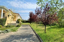 Property 36896 photo 2