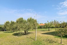 Property 36896 photo 25
