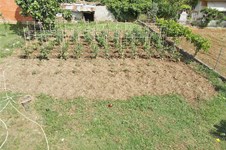 Property 36911 photo 8