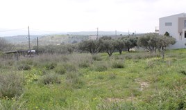 Land 1000 m² in Crete